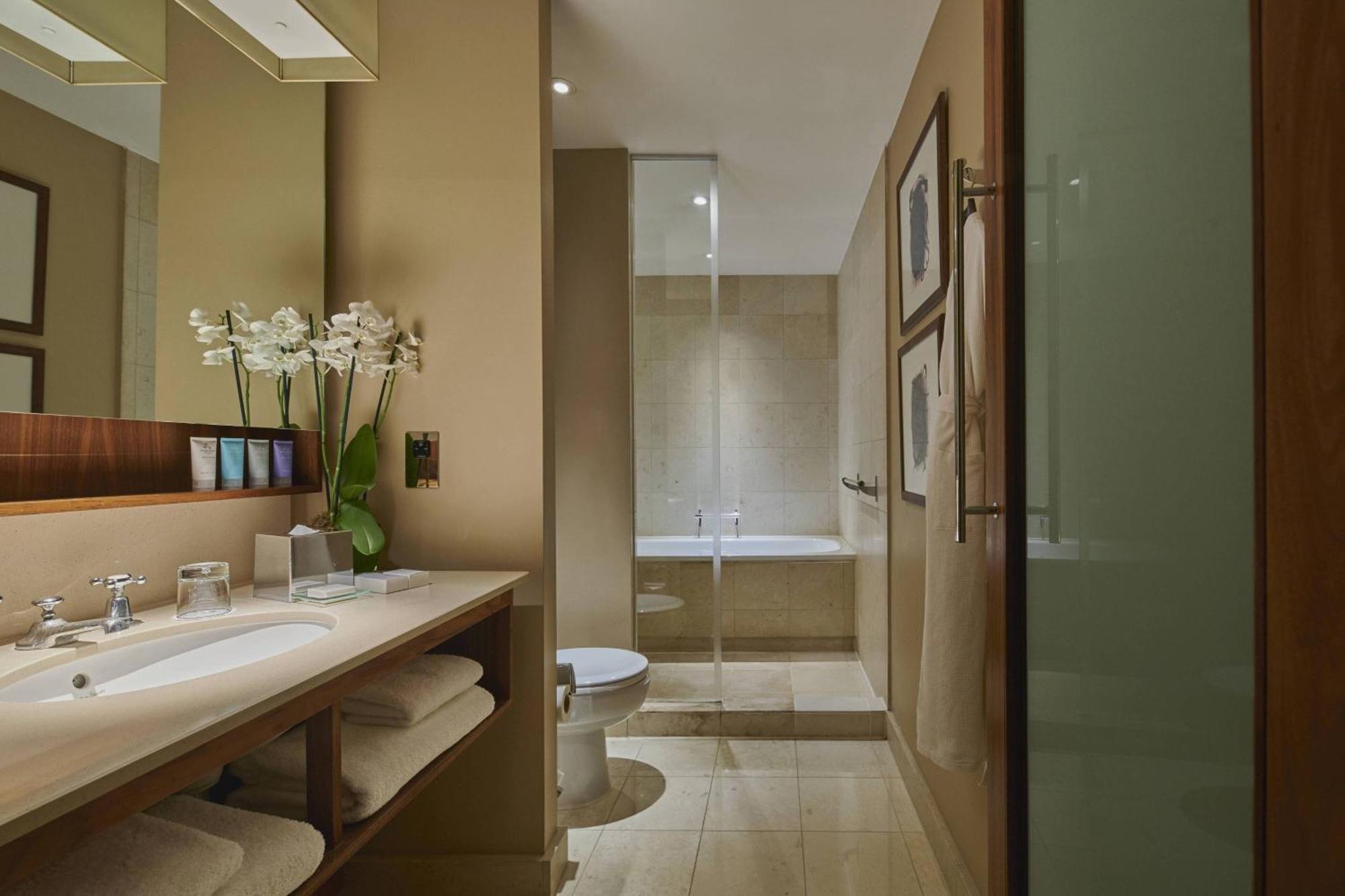 Executive, Guest room, 1 King
